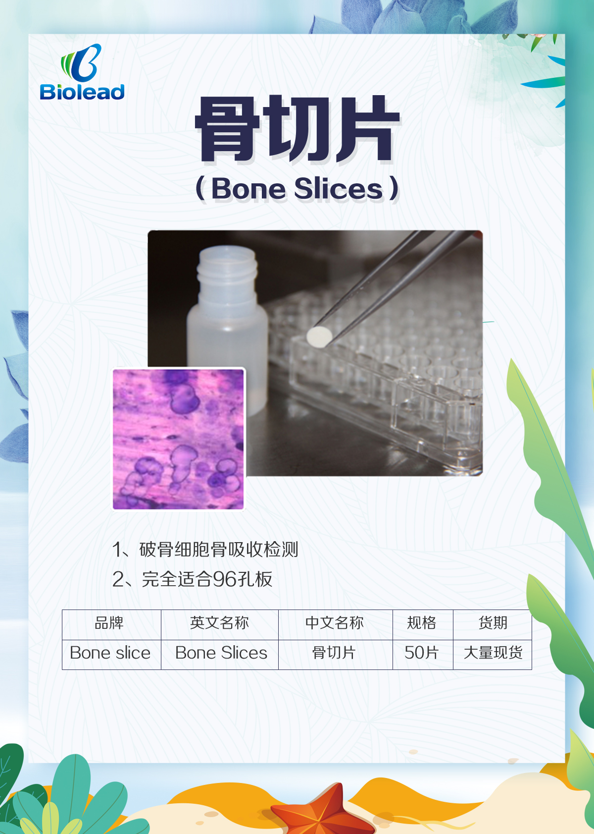 Bone slice （骨吸收實(shí)驗(yàn)）骨切片操作流程